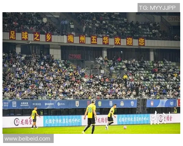 香港足球明星队员贵州热血集结展现足球魅力与团队精神